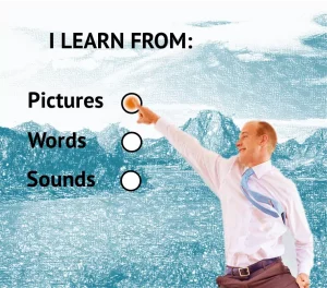 learning styles options